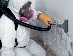 Mold Odor Removal Services in Oroville, WA